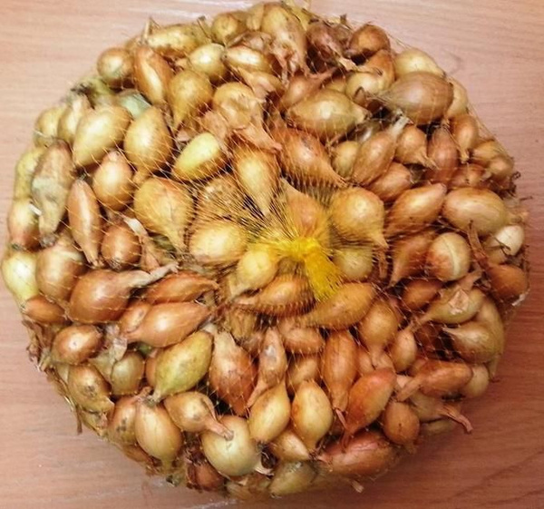 Радар(фото из интернета)