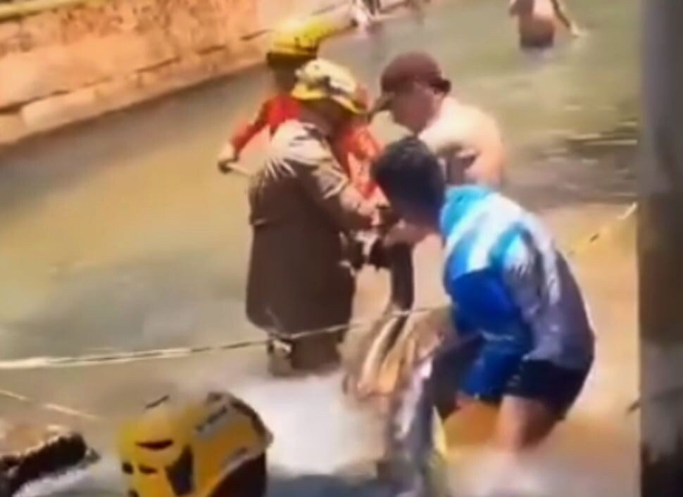     / Источник: Кадр из видео