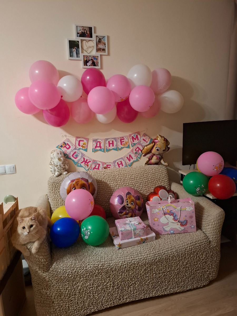 Кот главный