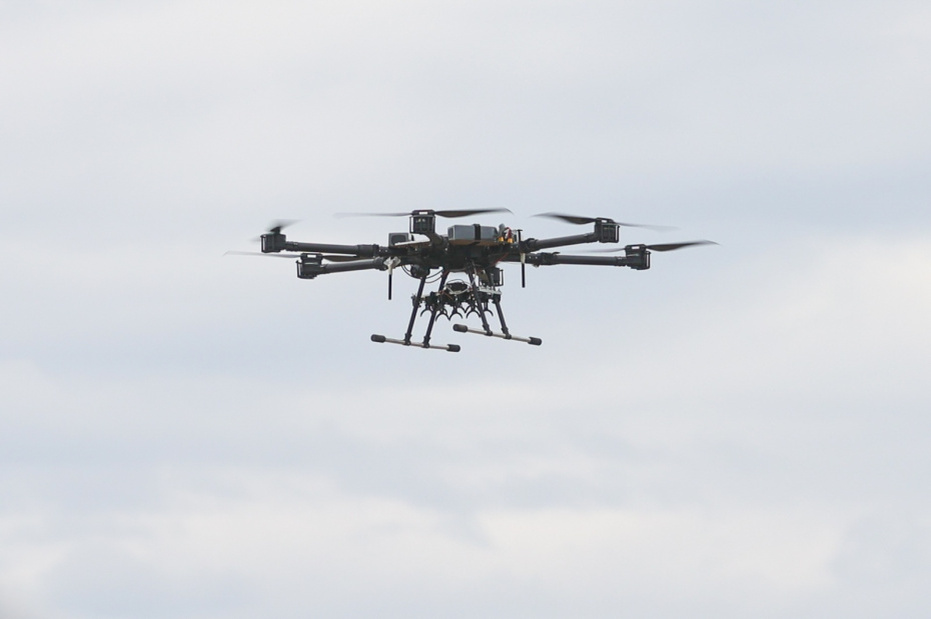    Наталья Шатохина/NEWS.ru