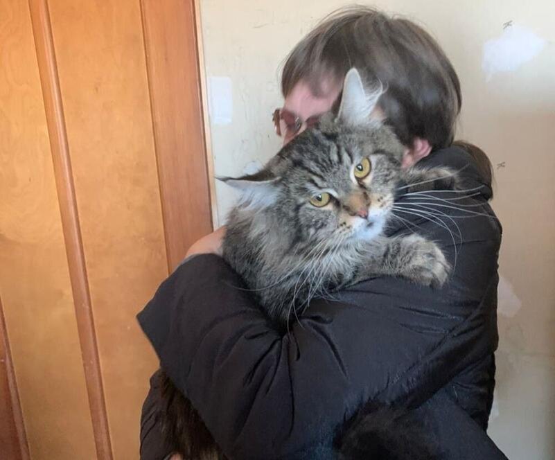     Фото: приют «МяуКун»