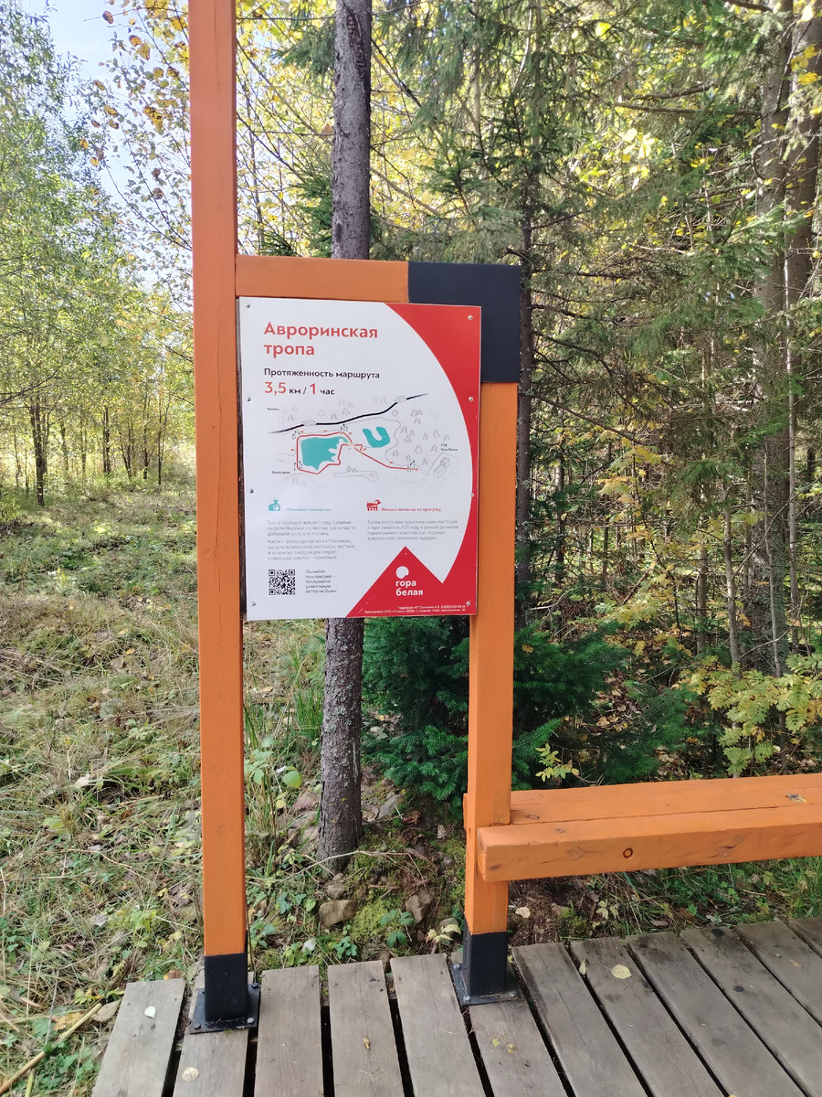 Рисунок 1 - начало маршрута "Авроринская тропа" 
