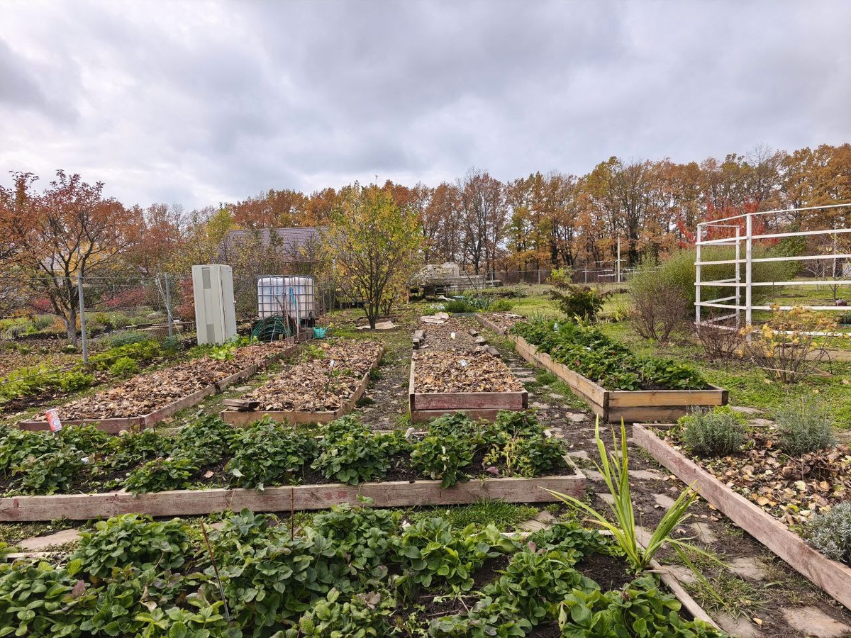 Участок нашей подписчицы 