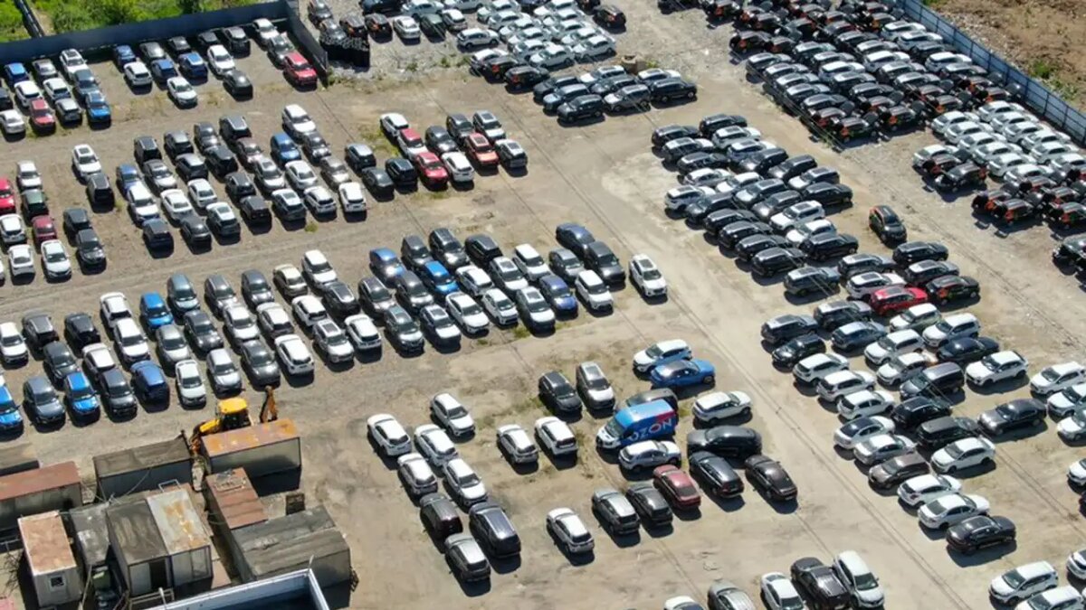    Автомобили. © АГН «Москва»