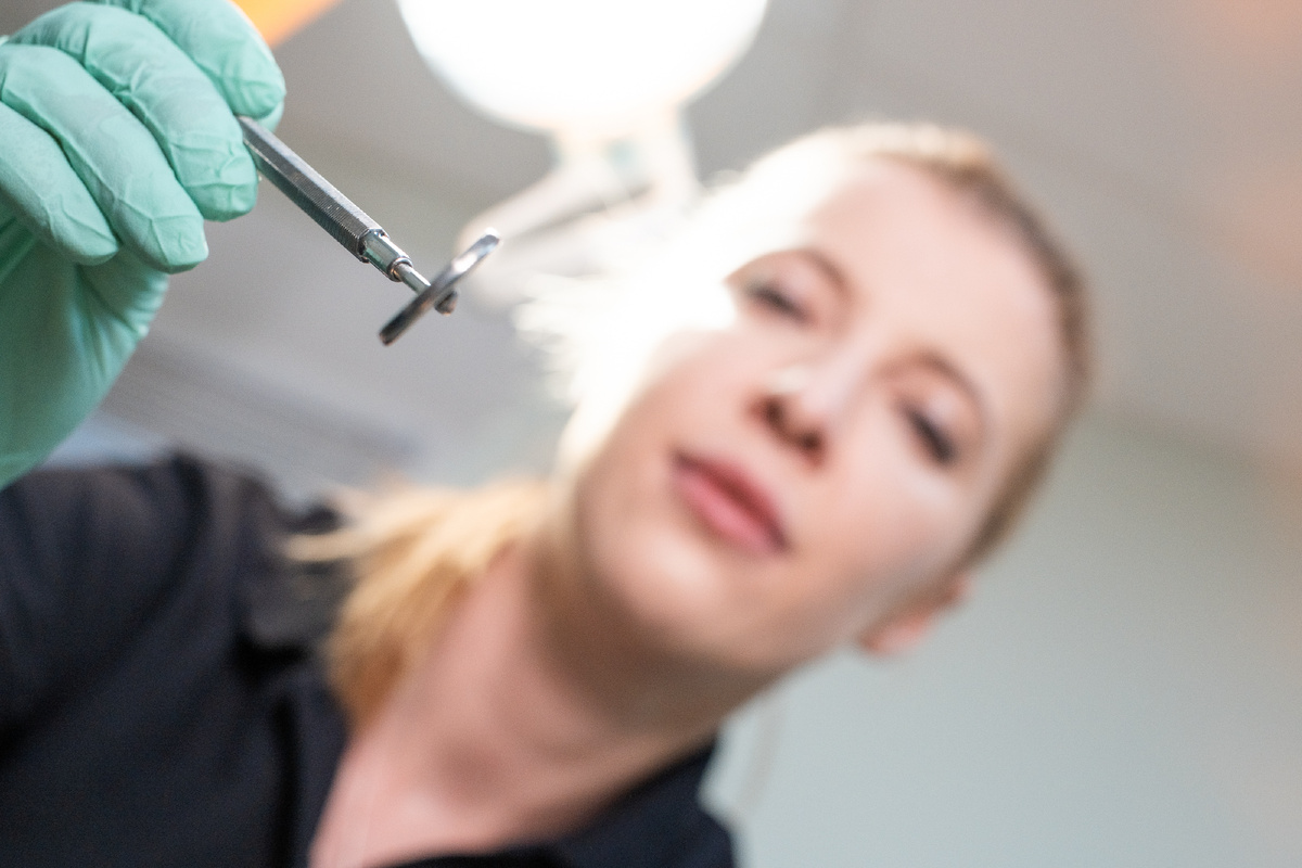 Фотография взята с сайта стоматологии Дмитрович Фэмили https://www.dmitrovich.ru/