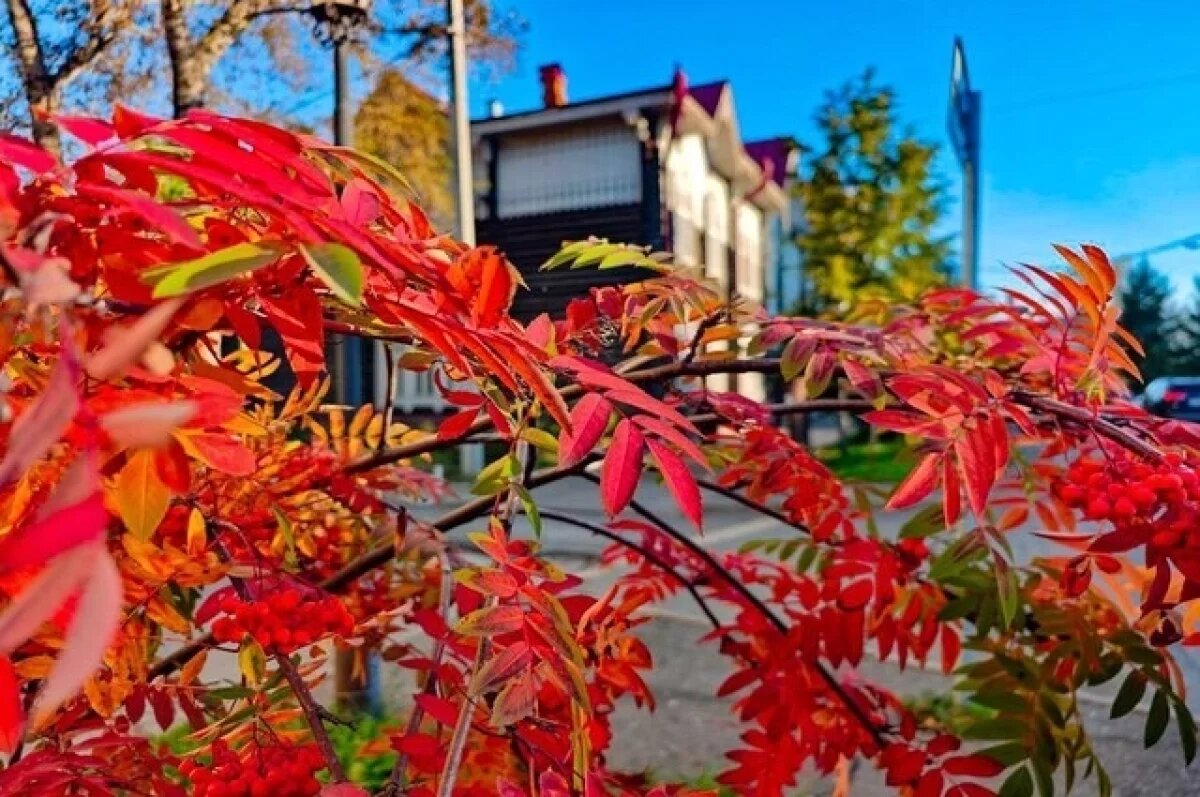    В Томской области потеплеет до +13 к выходным