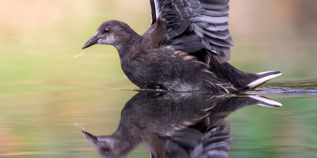 Экватор осени в Измайловском лесопарке. Фотографии октябрьской природы.