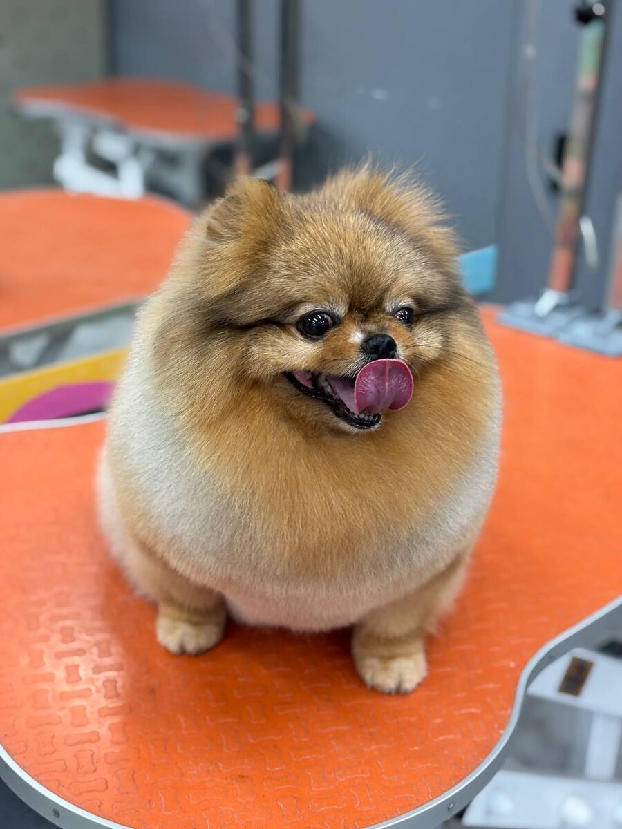 После процедуры