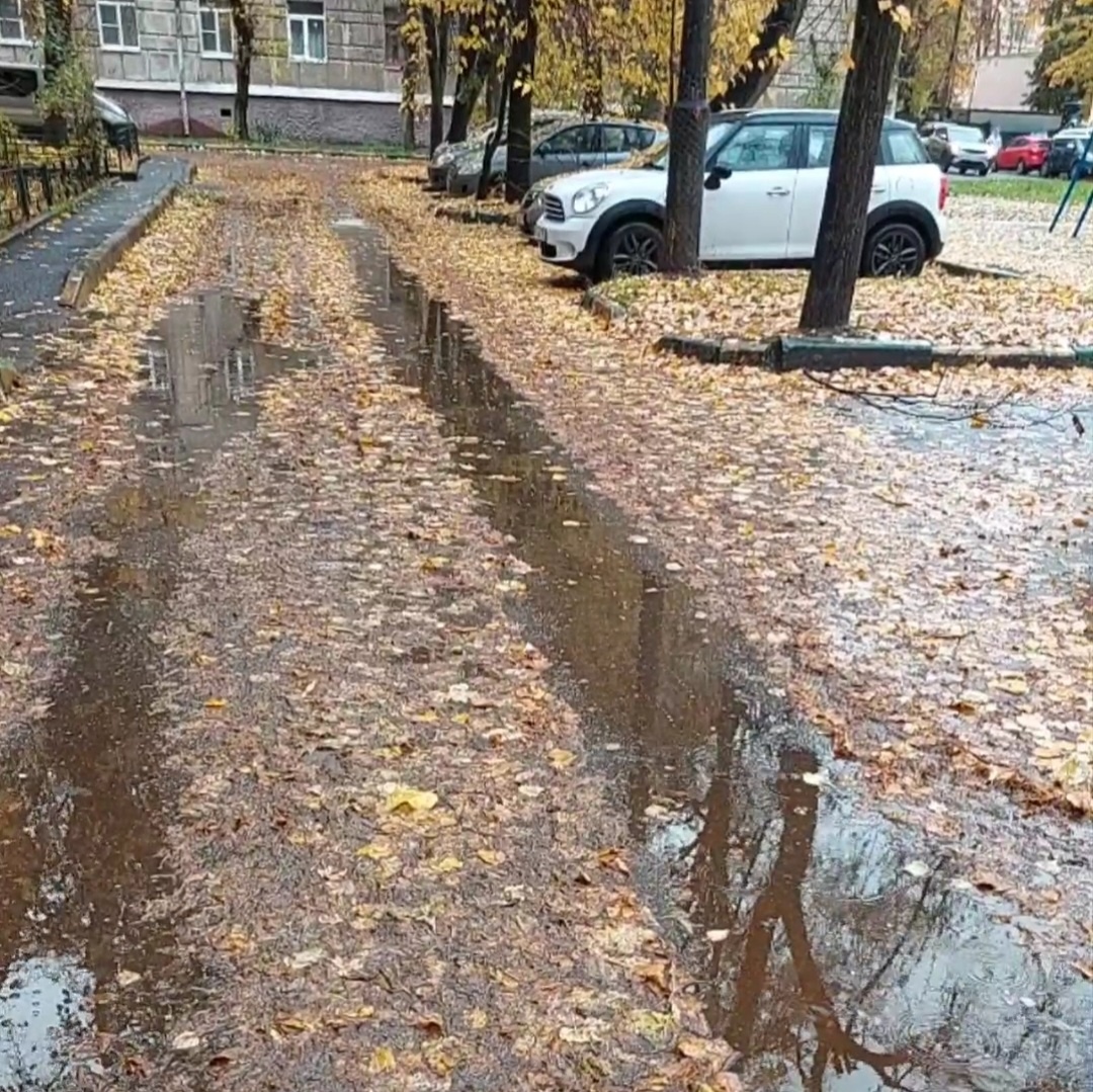 Фото автора.