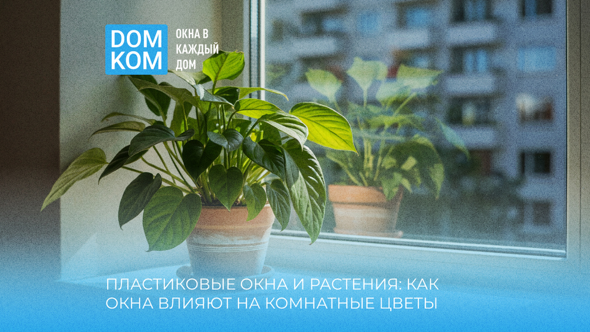 Пластиковые окна и растения: как окна влияют на комнатные цветы