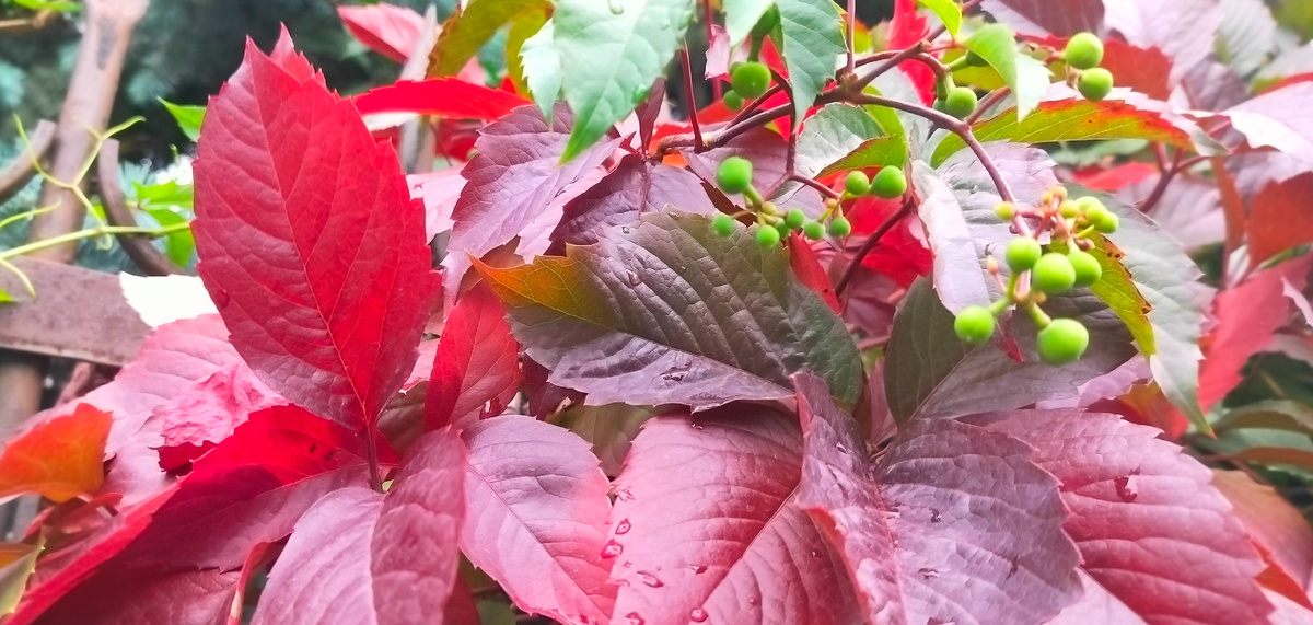 Нет лучших друзей, чем старые друзья.  Джеймс Джойс