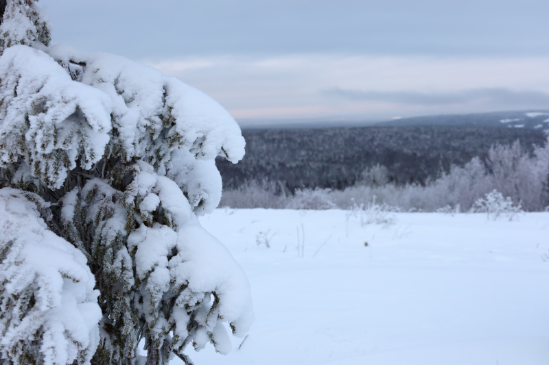    Фото: © Elena Mayorova/Globallookpress