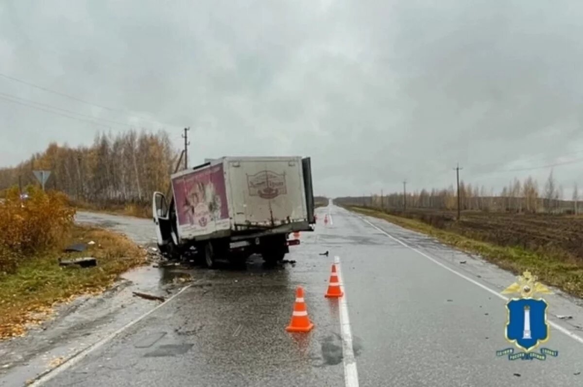    На трассе под Ульяновском грузовая «Газель» врезалась в легковушку