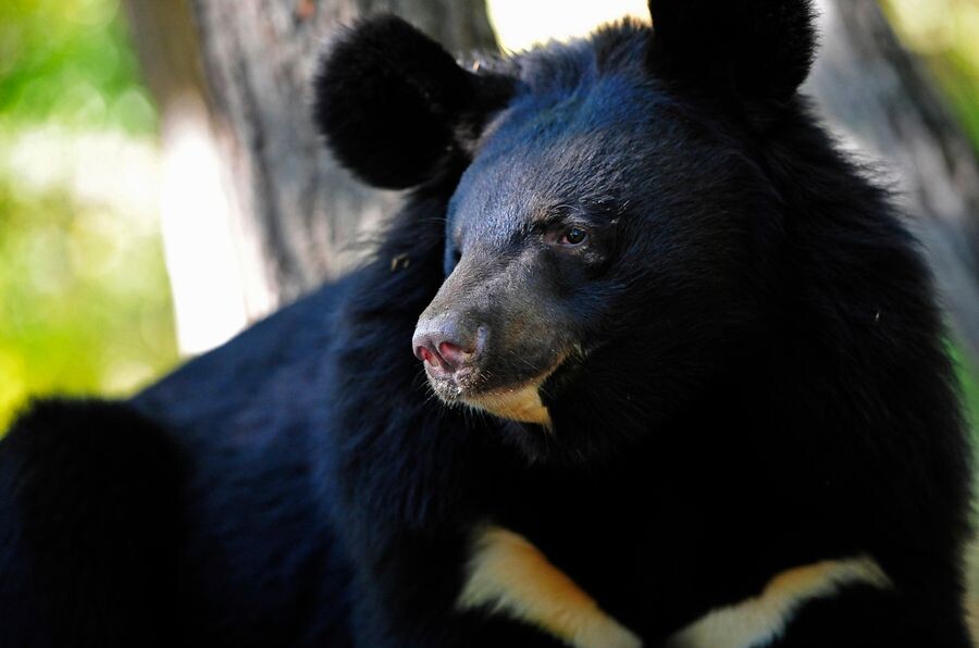     / Источник: © ITAR-TASS