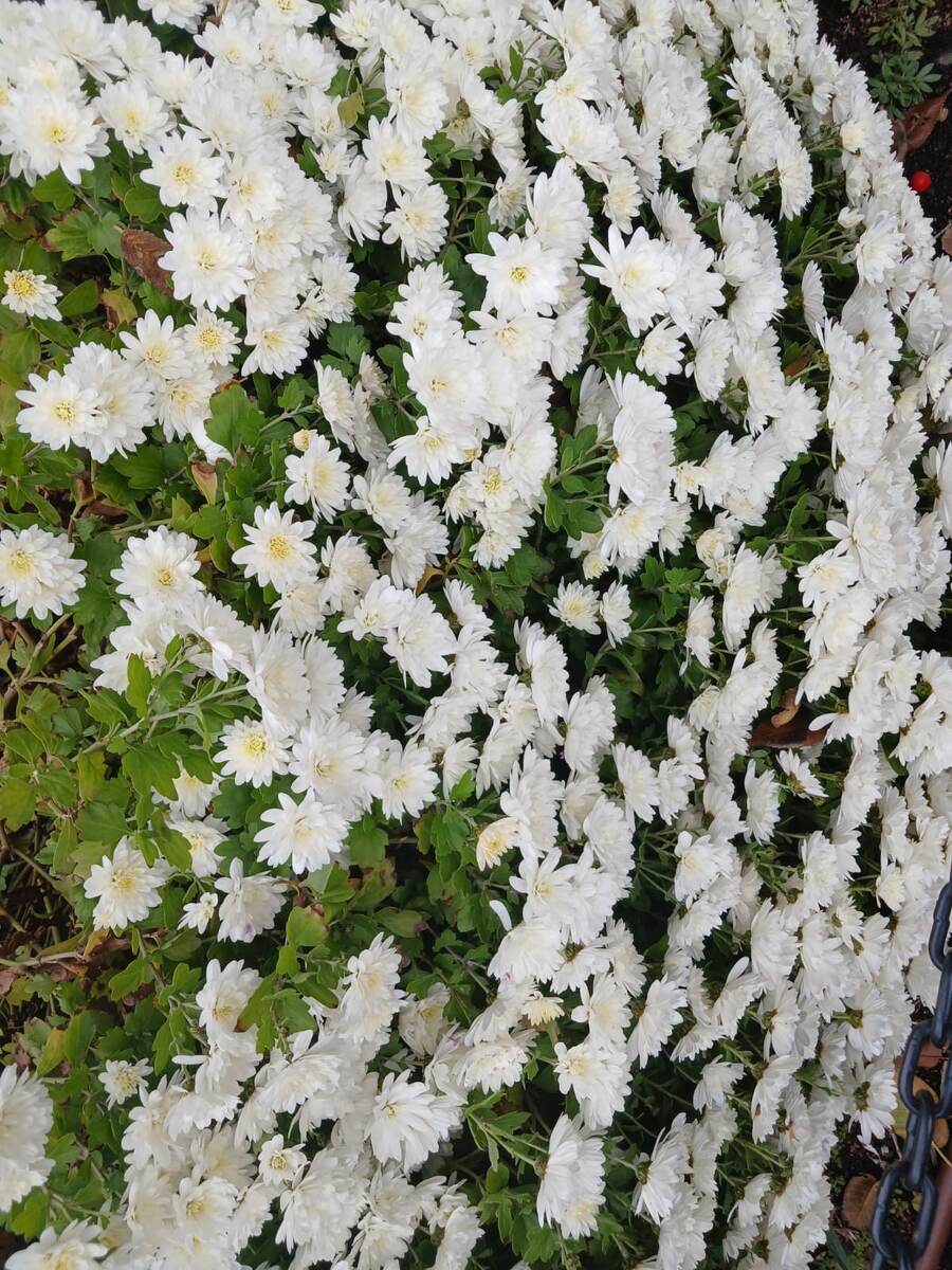 Осень на юге