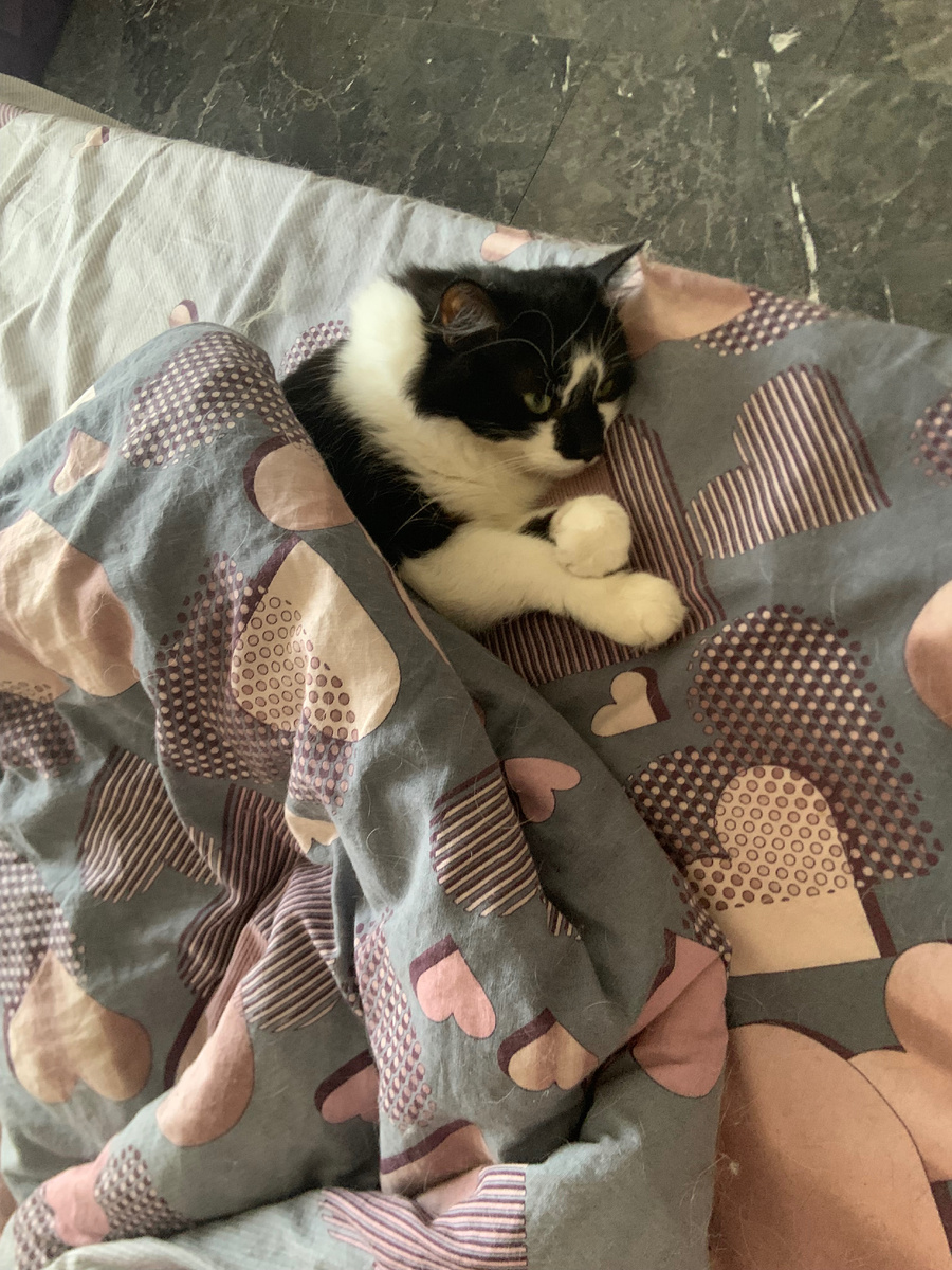 Фото из личных архивов