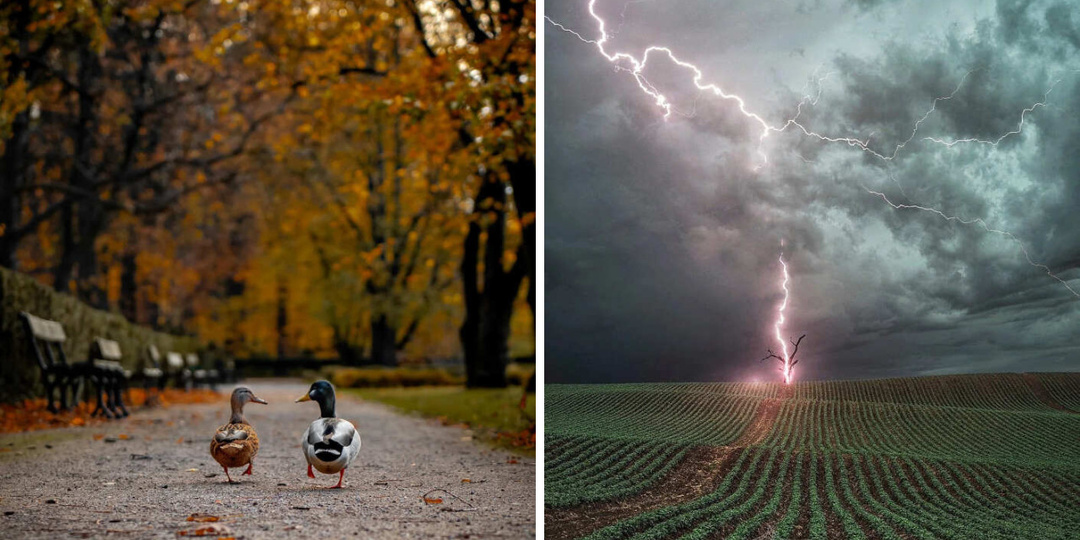 Поставьте вселенную на паузу: 17 кадров, где красота застала нас врасплох