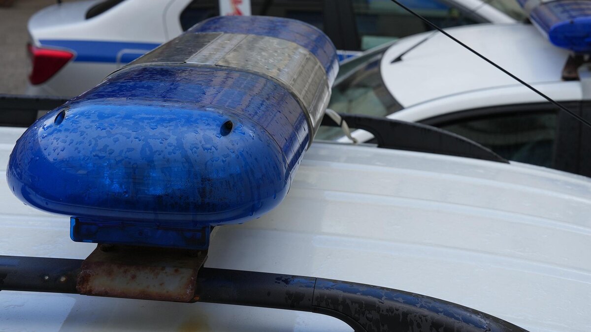    Фото: ИЗВЕСТИЯ/Дмитрий Коротаев