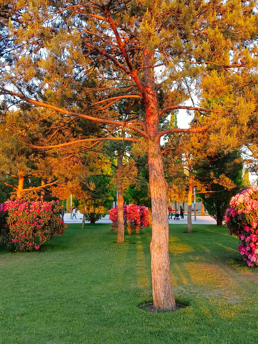 Парк Краснодар. Фото автора