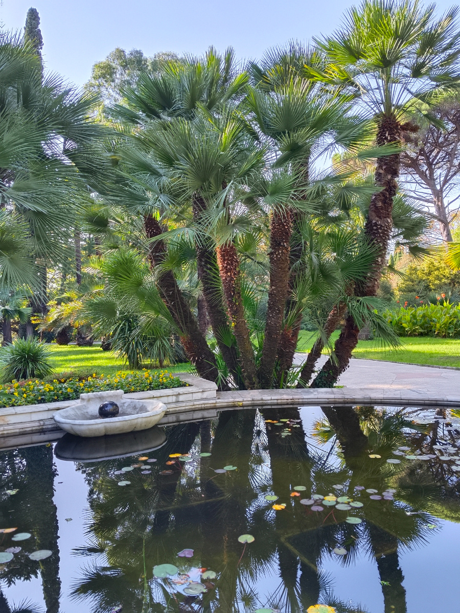 Сочи. Фото автора