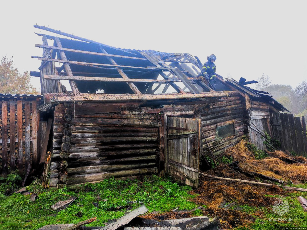 Фото регионального ГУ МЧС