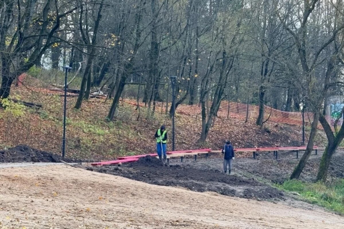    Глава Смоленска рассказал, как благоустраивают Солдатское озеро