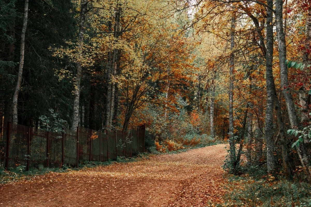    Фото: «Республика» / Оксана Кудряшова