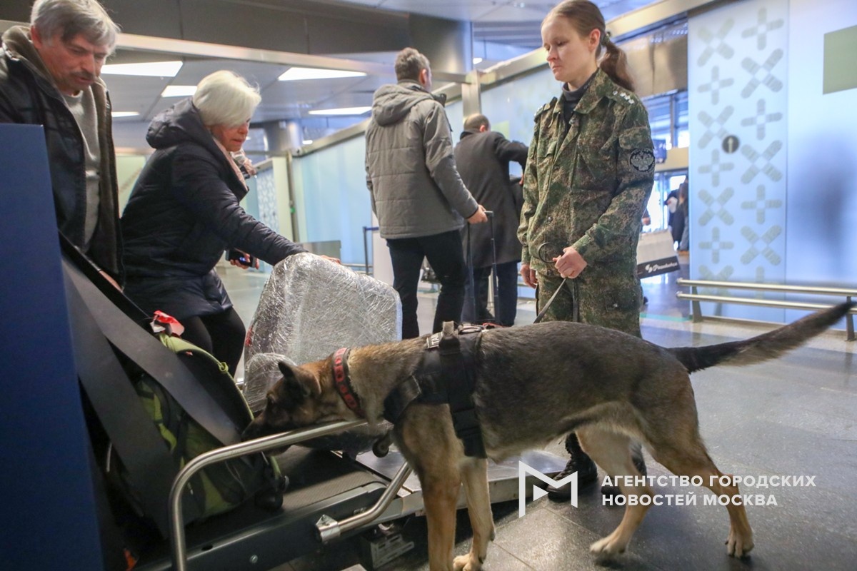 Фотограф: Андрей Никеричев