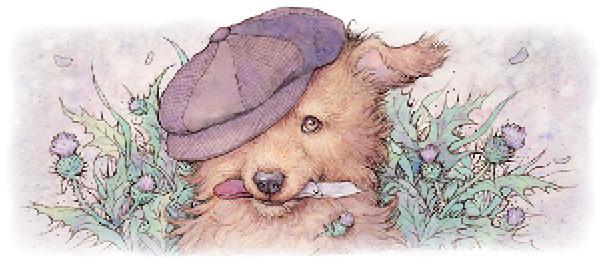 Из электронной книги