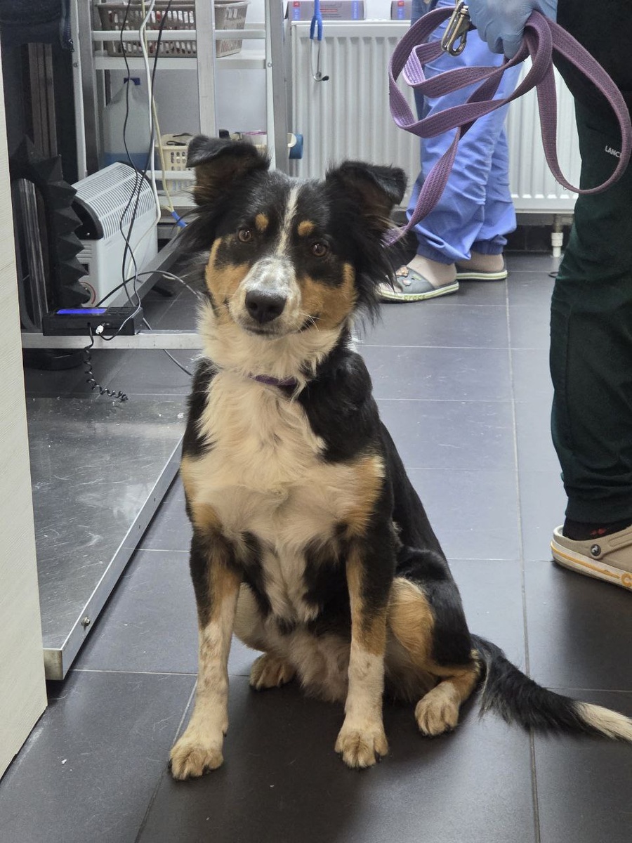 В этом кабинете кто прячется, кто зажимается, кто защищается... А Боня ждет. Спокойно, уверенно ждет.