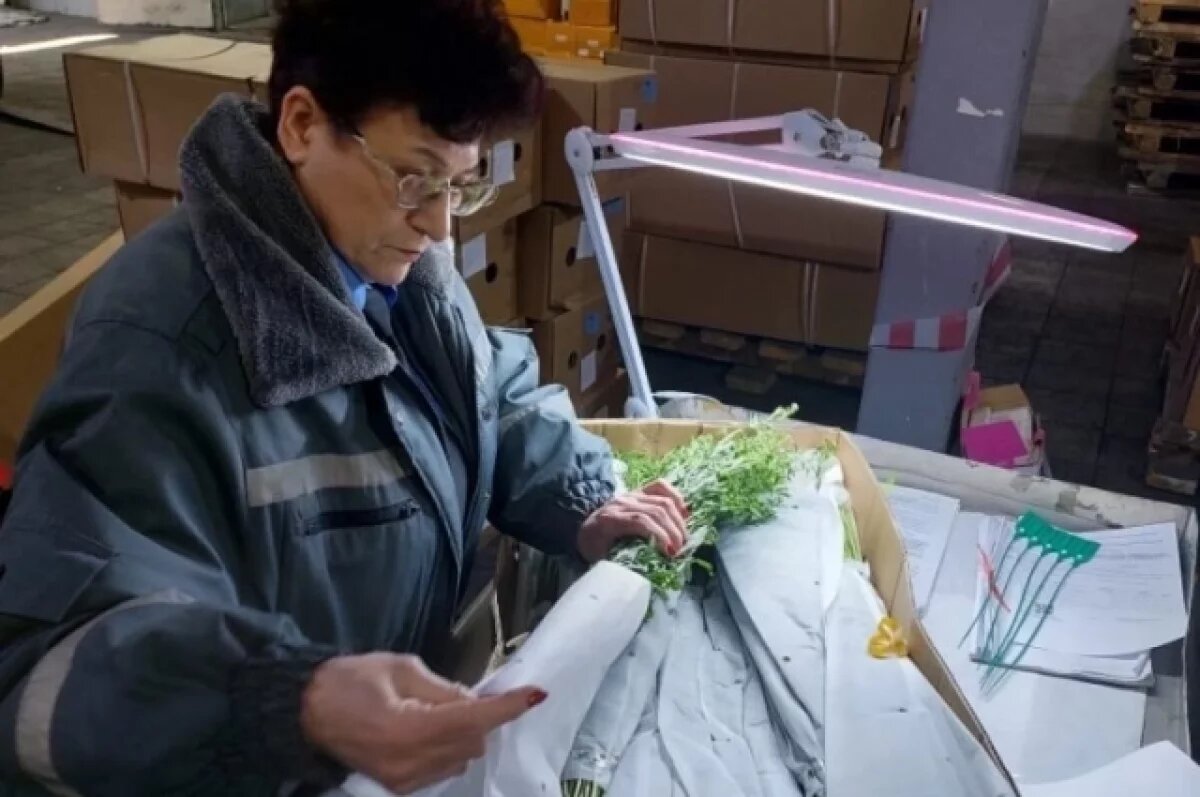    Россельхознадзор Приморья запретил ввоз в страну 109,6 тыс. цветов из Китая