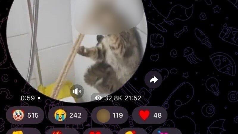 Малолетняя садистка снимала убийства животных на видео