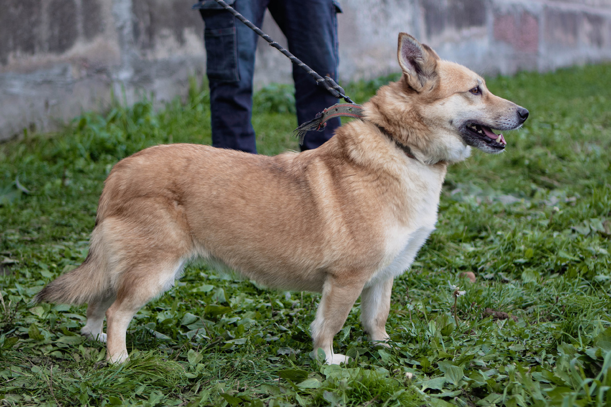  Умеет ценить заботу как никто другой. 