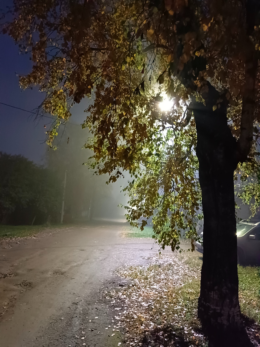 Мои прогулки.