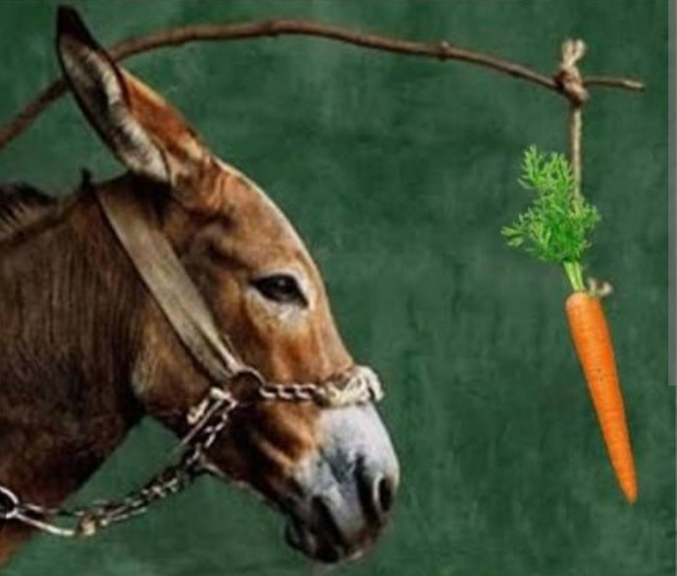 Почему можно вечно идти за "денежной морковкой" перед носом