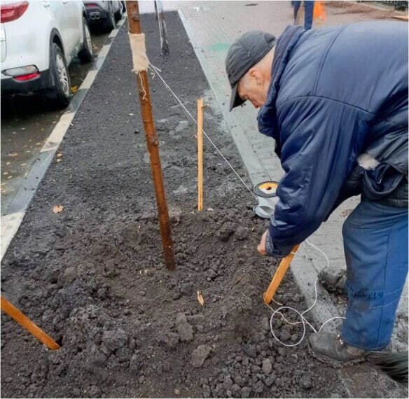   Фото: Администрация города Ульяновска