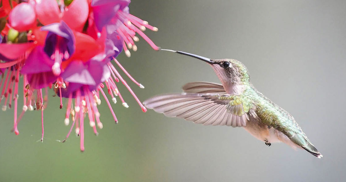 Robert D. Barnes / Moment