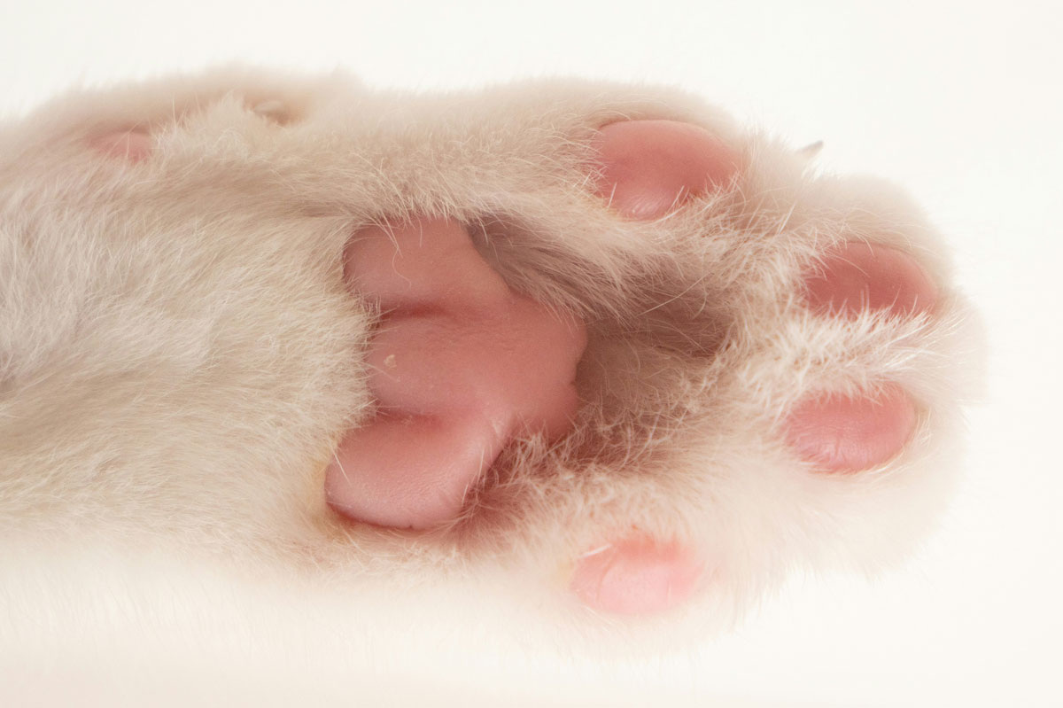 The3dragons / Unsplash