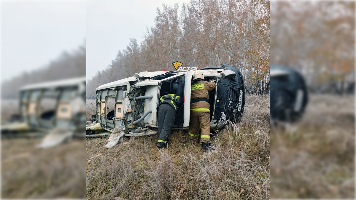 Фото: t.me/teleact54