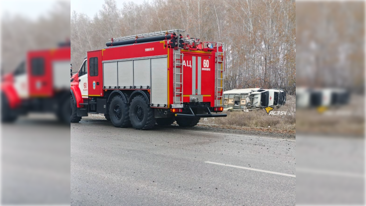 Фото: t.me/teleact54