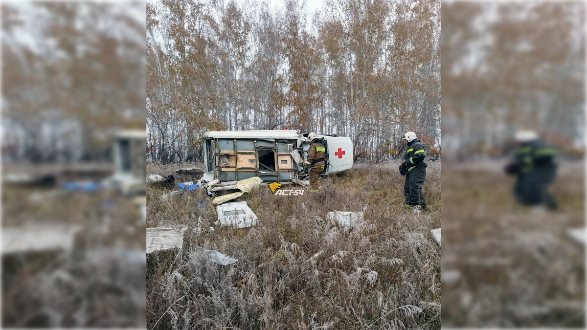 Фото: t.me/teleact54