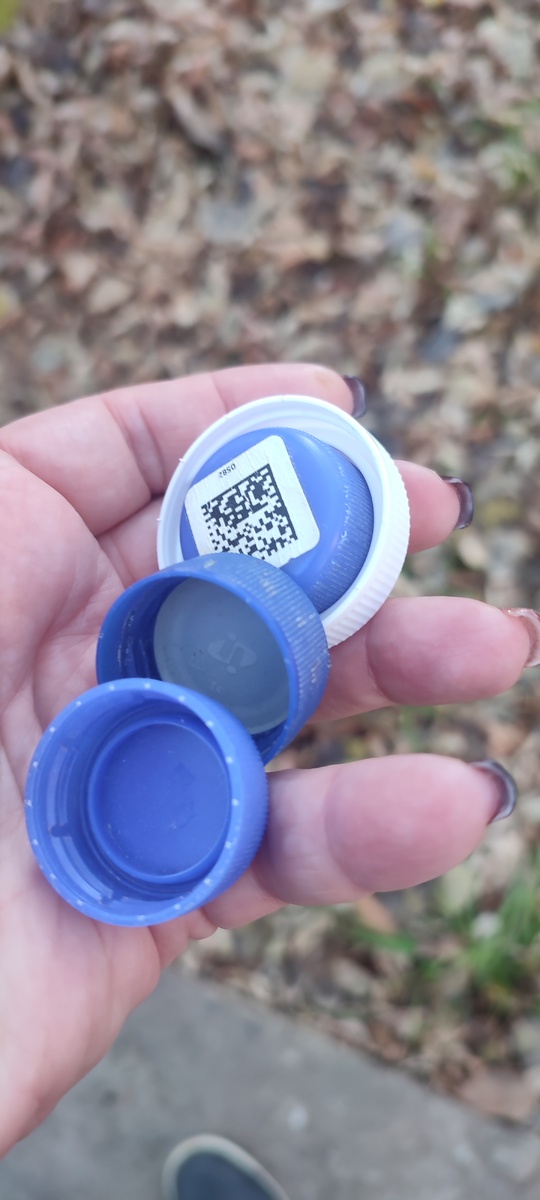 Снимок автора. Несу #крышкидобра