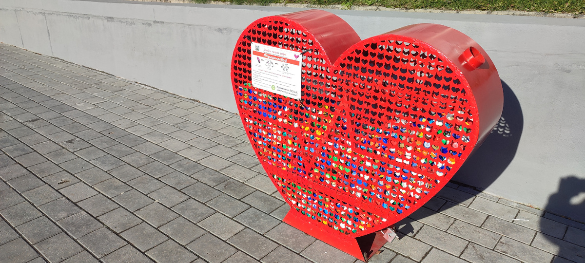 Снимок автора. Сердце