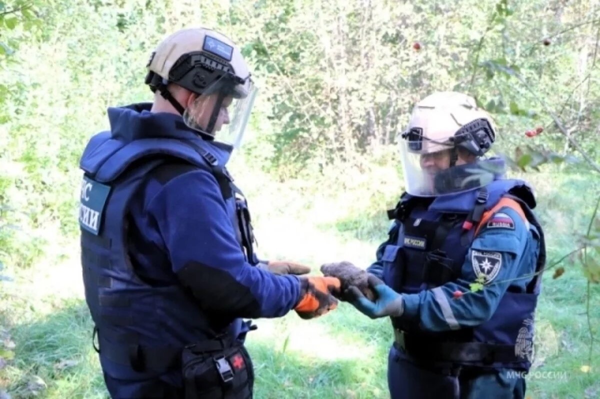    В Балтийском округе обезвреживают восемь боеприпасов