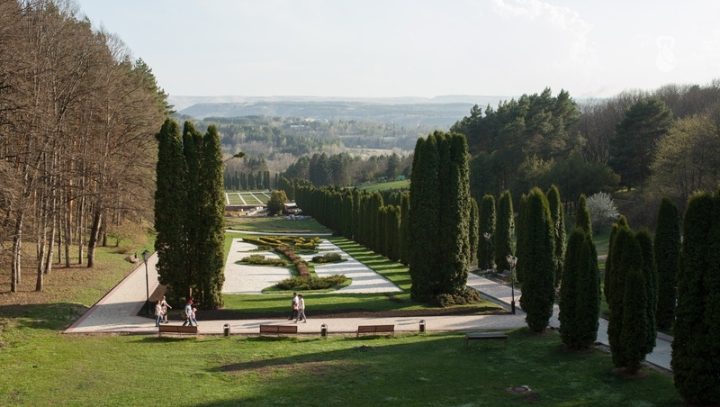      Фото: Дмитрий Ахмадуллин / / ИА «Победа26»