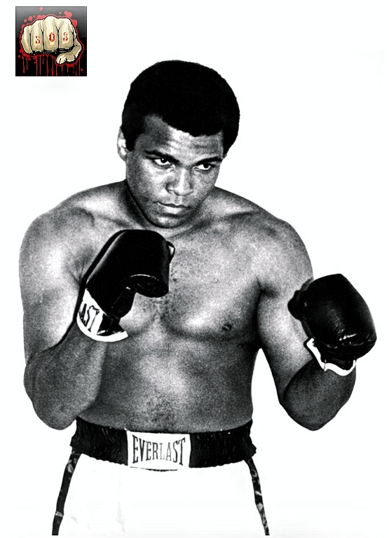 "Лучший из лучших "