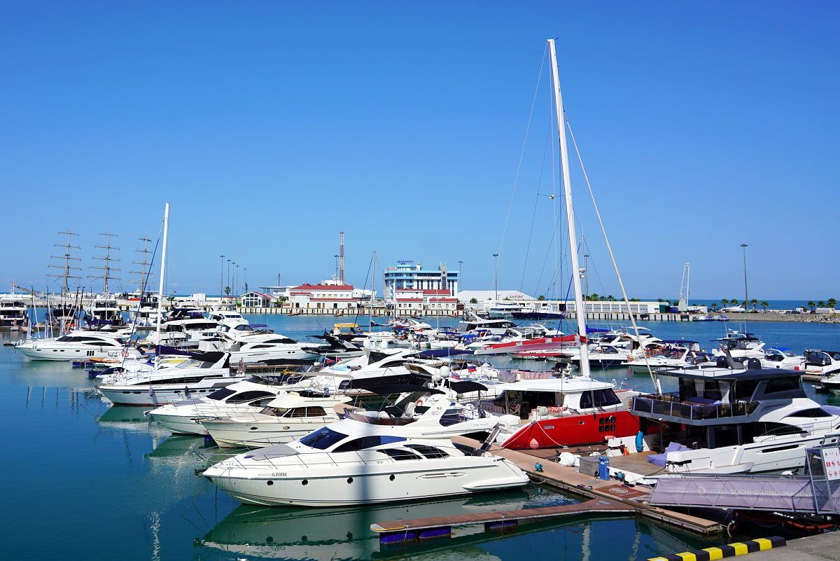 Фото: https://t.me/officialsochi