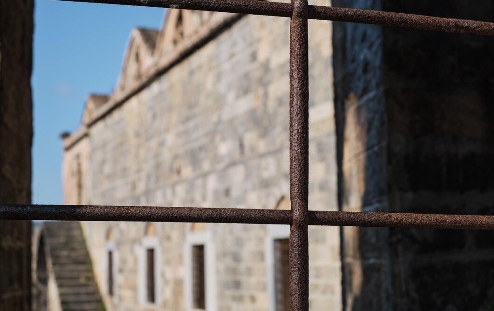 Фото: ededchechine / freepik