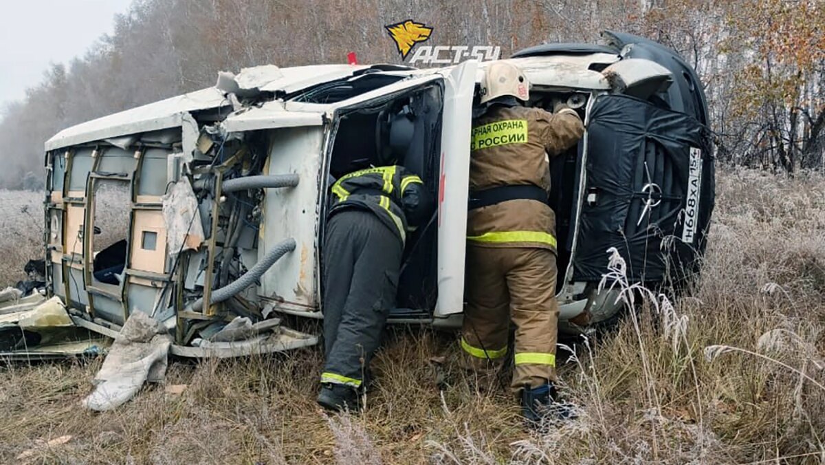   @teleact54 / Telegram