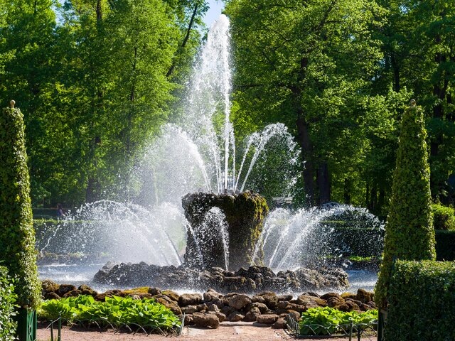    Фото: 123RF/dmitr86